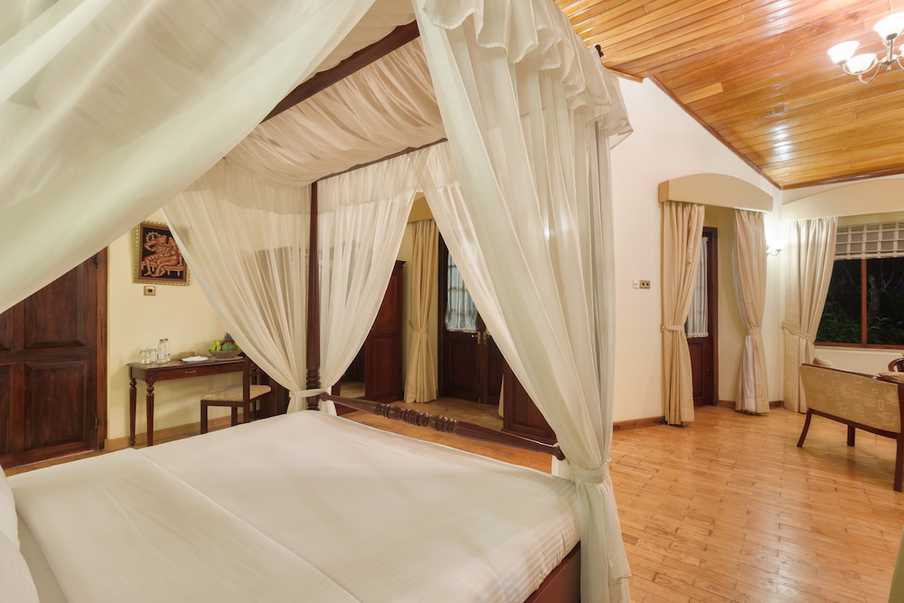 Luxury Room photo 1