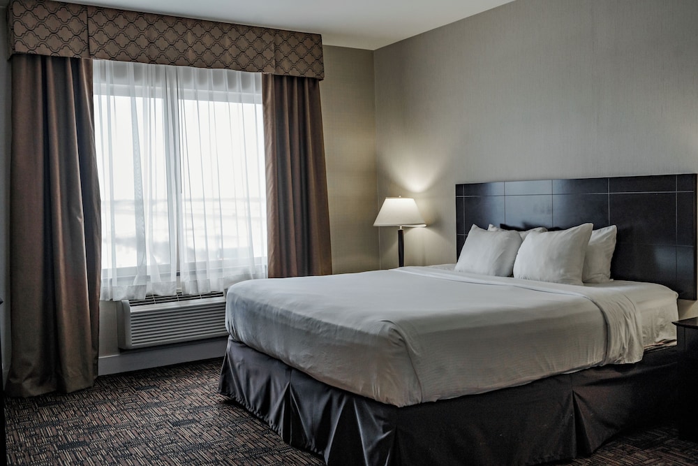 Suite, 1 Bedroom, Non Smoking photo 3