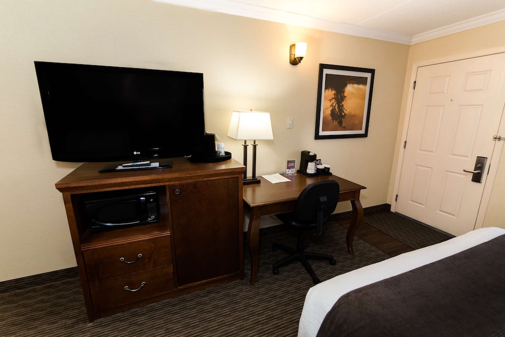 Standard Room, 1 Queen Bed, Refrigerator & Microwave, Ground Floor (with Sofabed)