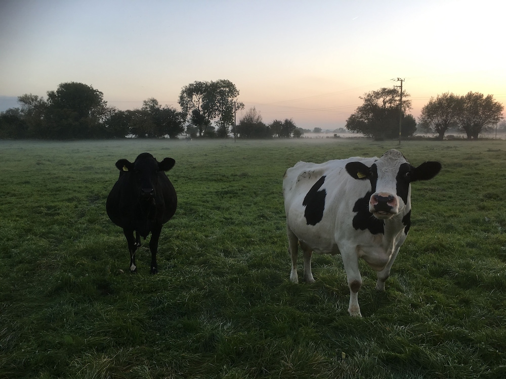 Double-gate Farm, 写真 29
