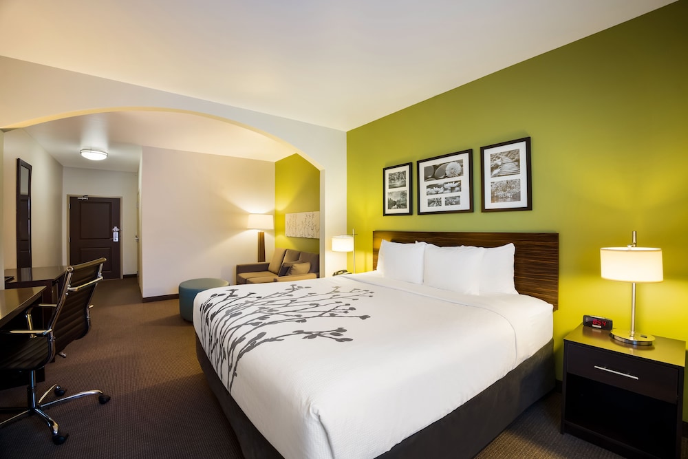 Suite, 1 King Bed, Accessible photo 3