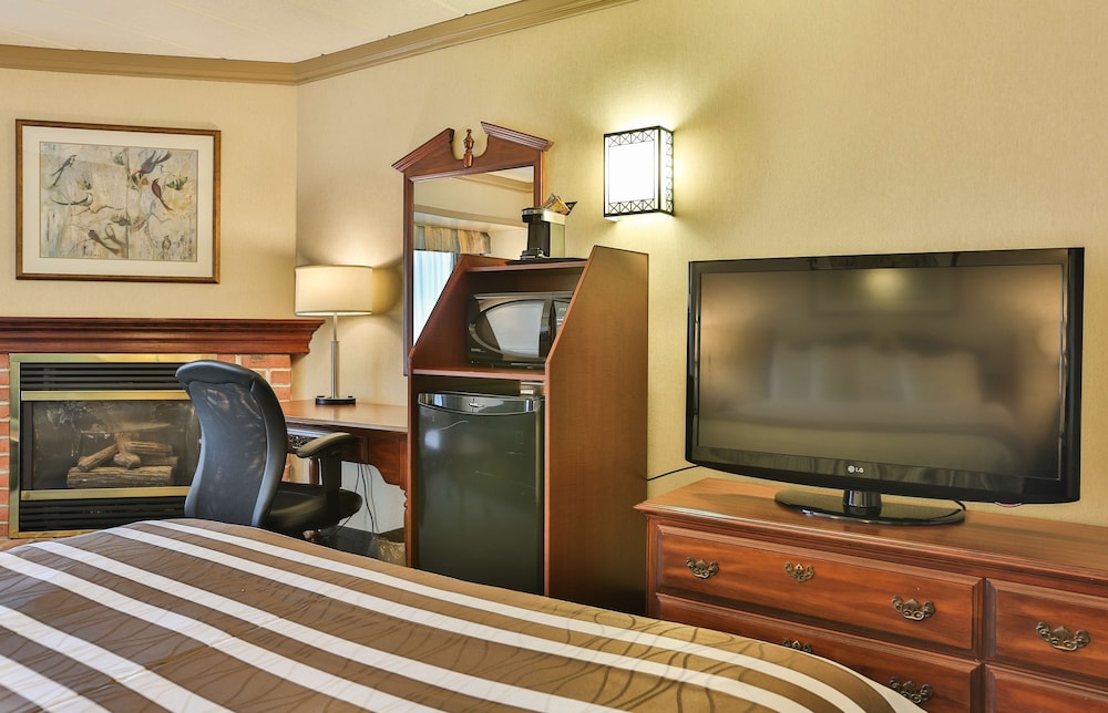 Standard Room, 1 Queen Bed, Non Smoking, Fireplace (with Sofabed) - Photo 5