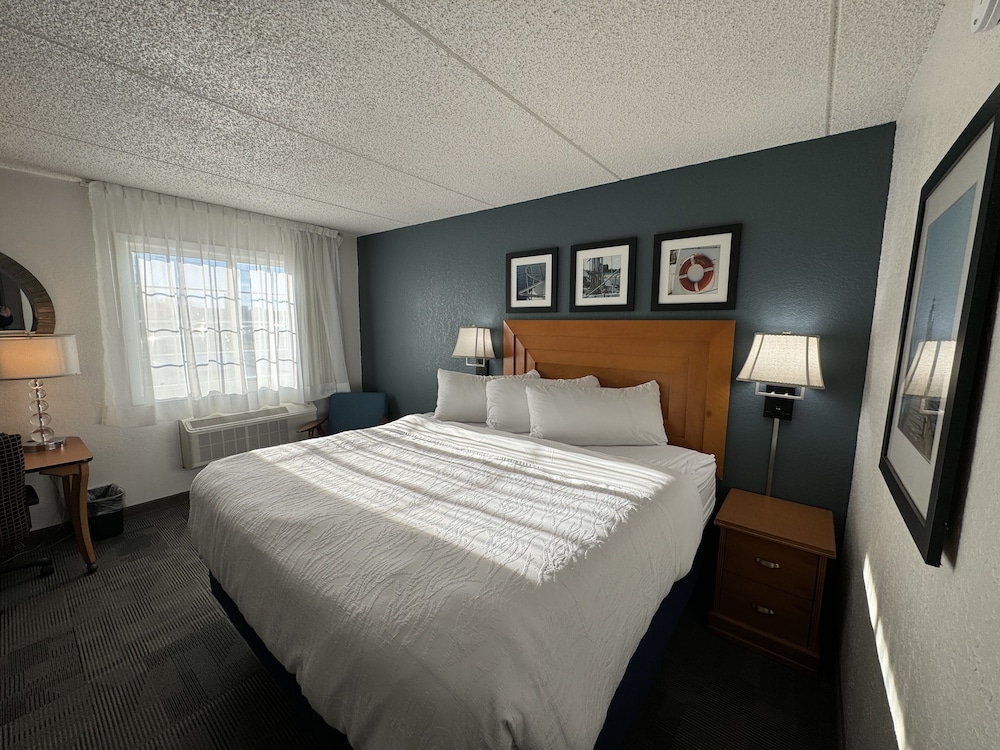 Deluxe Room, 1 King Bed photo 1