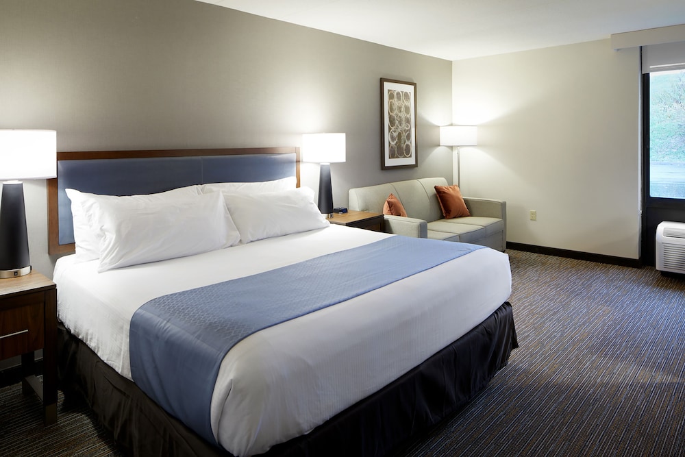 Deluxe Room, 1 King Bed, Non Smoking - Photo 1