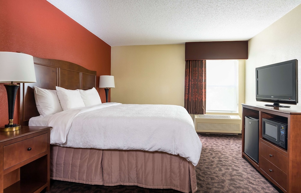 Room, 1 King Bed, Accessible