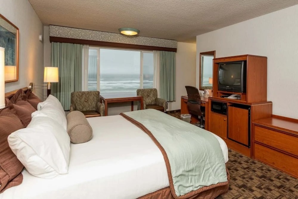 Deluxe King Room, No Pets photo 2