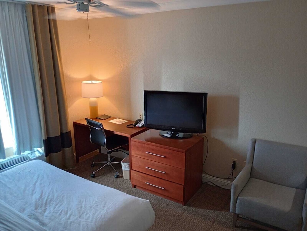 Basic Room, 1 King Bed photo 2