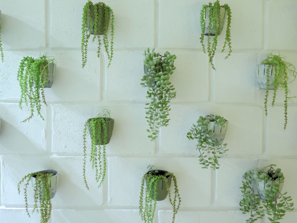The Botanist Room - Photo 5