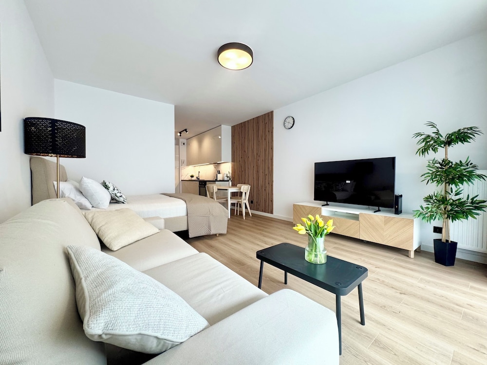 Standard Studio Suite, 1 Queen Bed with Sofa bed, Balcony photo 3