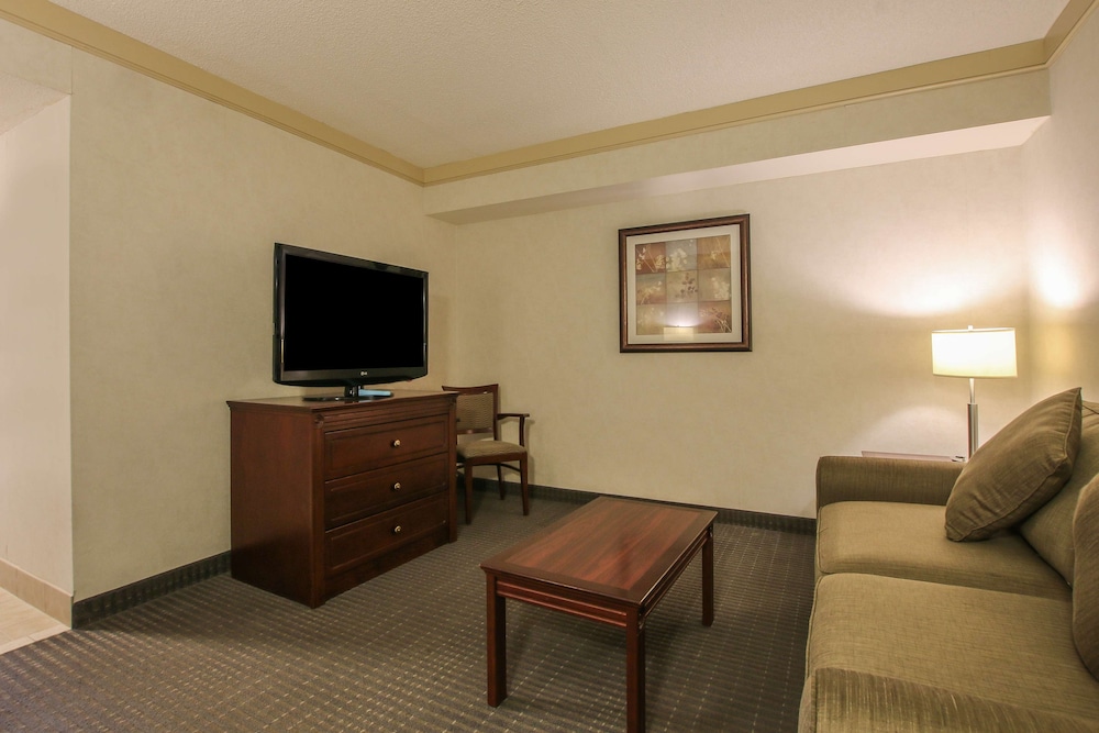 Suite, 1 King Bed, Non Smoking, Refrigerator & Microwave (with Sofabed) - Photo 6