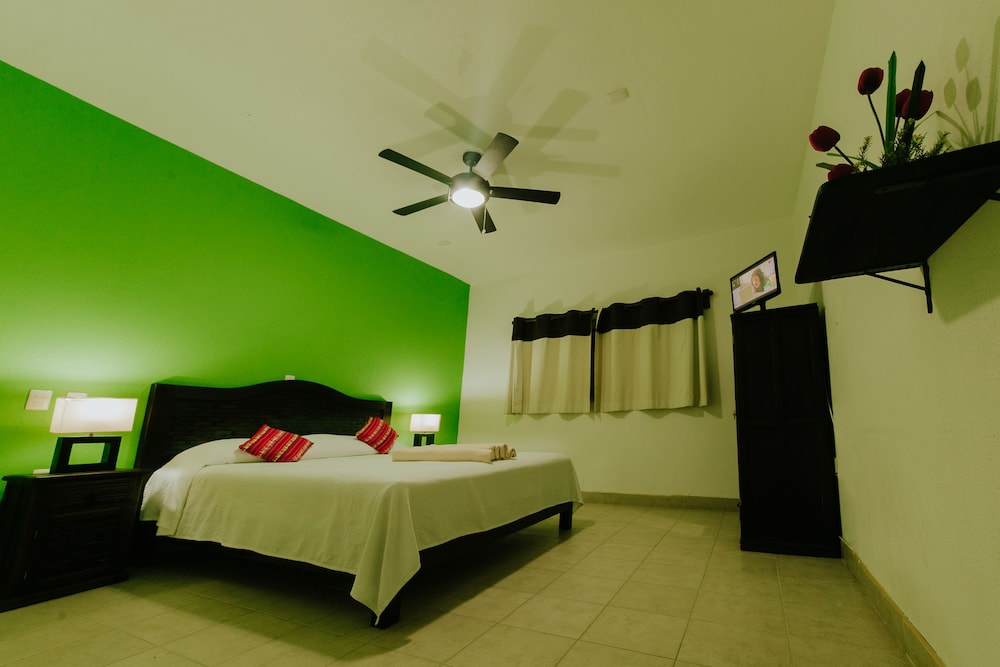 Room, 1 King Bed photo 1