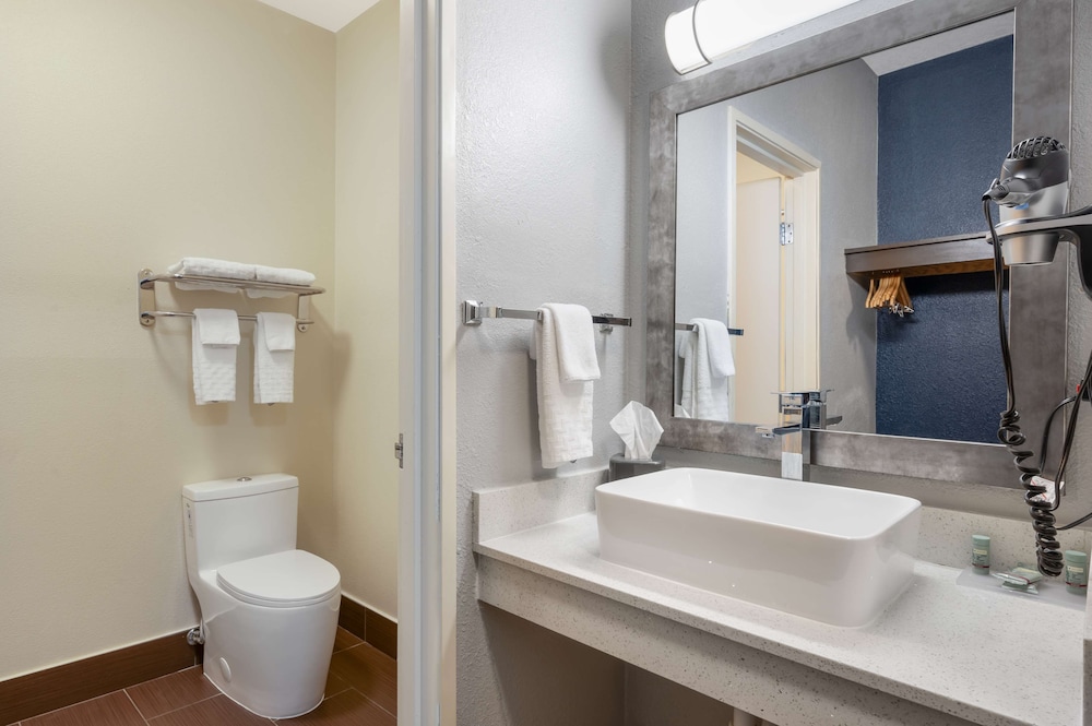 Standard Room, 1 King Bed, Non Smoking, Refrigerator & Microwave