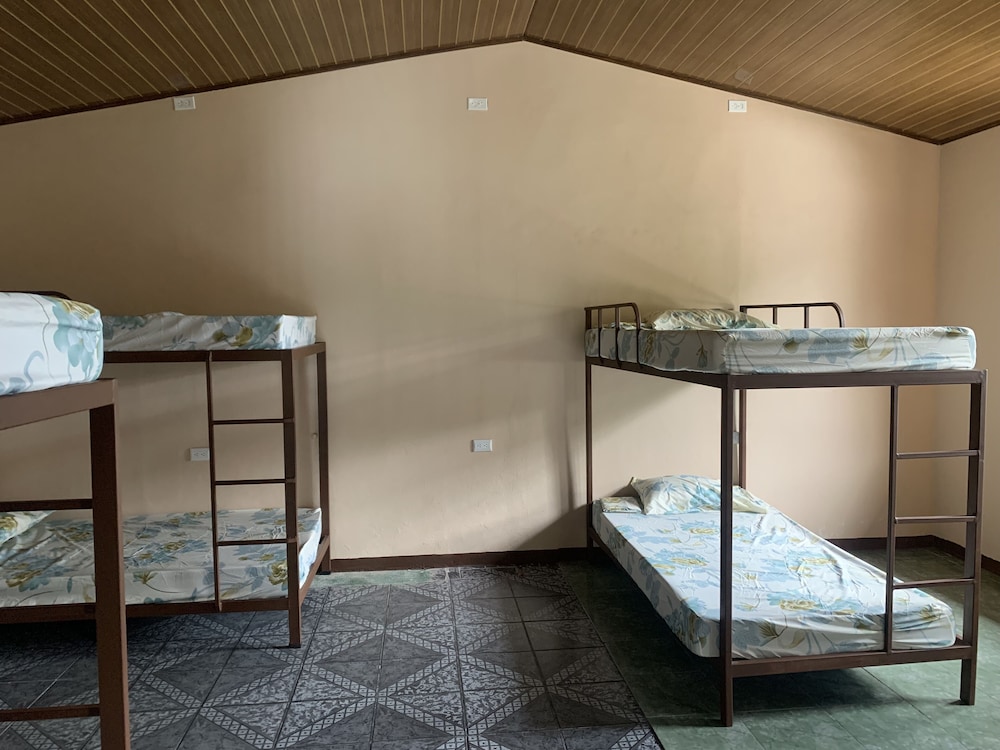Basic Shared Dormitory photo 3