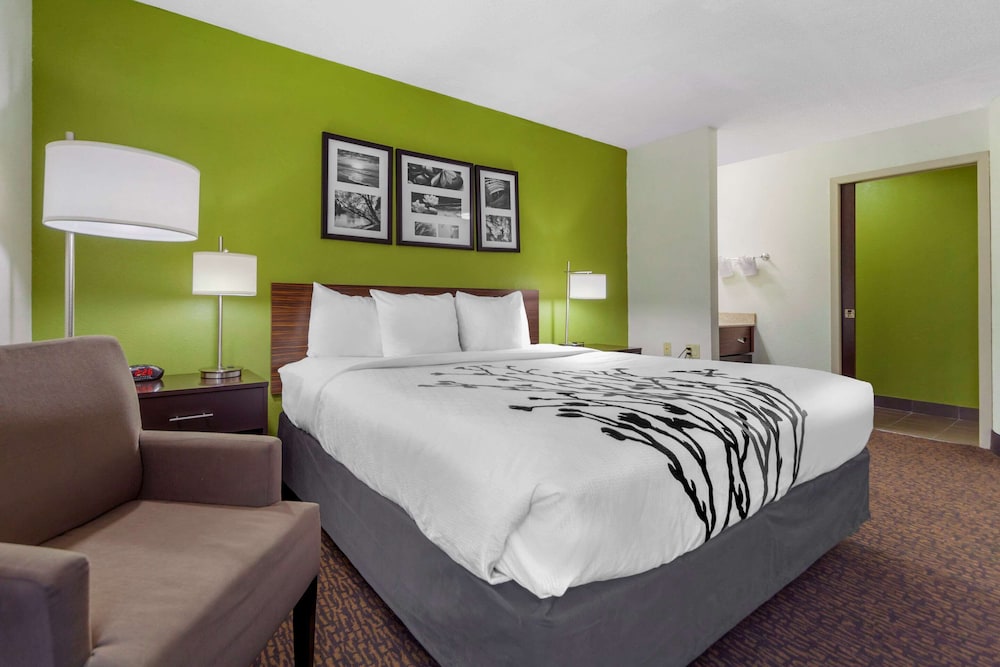 Standard Room, 1 King Bed, Non Smoking, Refrigerator & Microwave - Photo 4