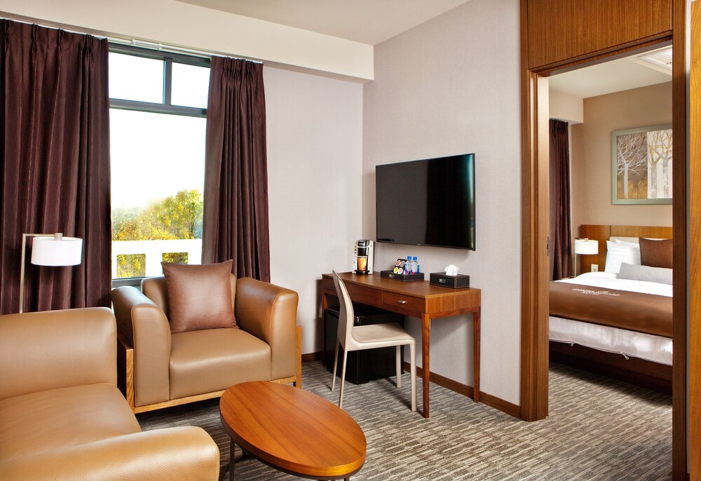 Suite, 1 Queen Bed photo 2