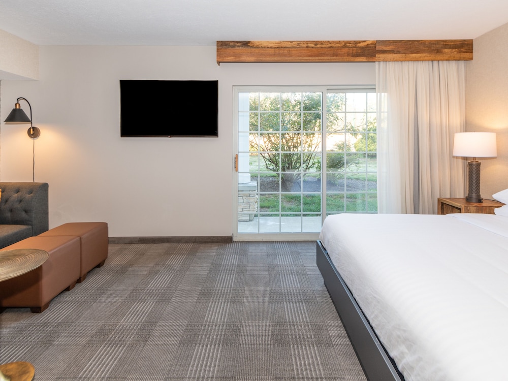 Standard Room, 1 King Bed, Accessible Bathtub - Photo 6