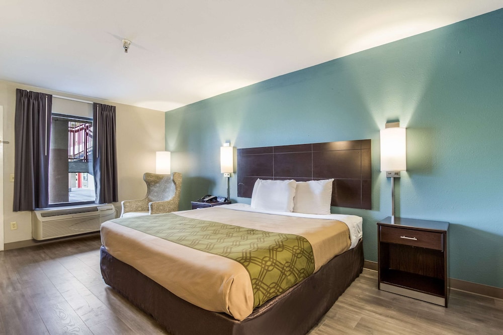 Room, 1 King Bed, Accessible, Non Smoking photo 3