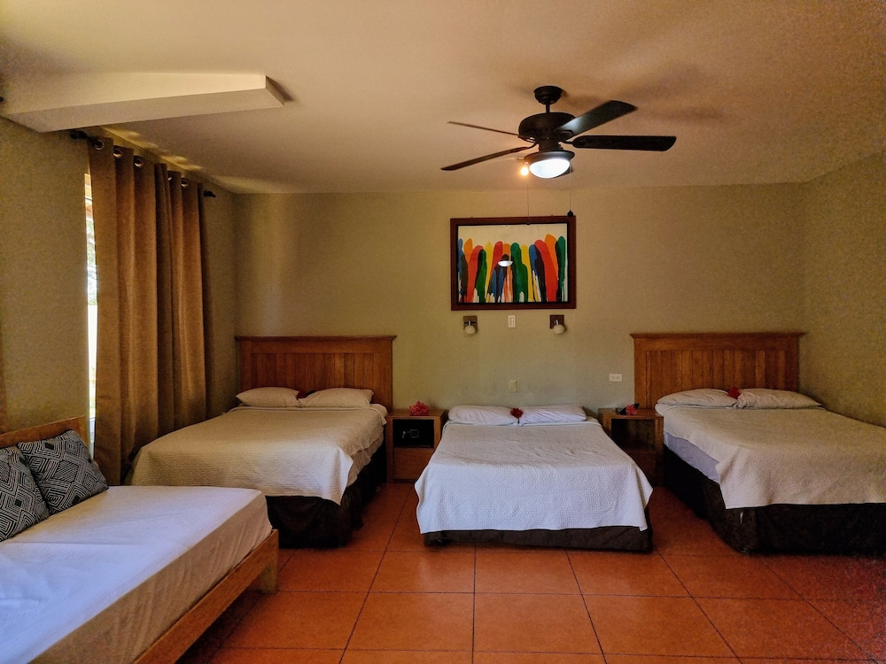 Suite, Garden View photo 1