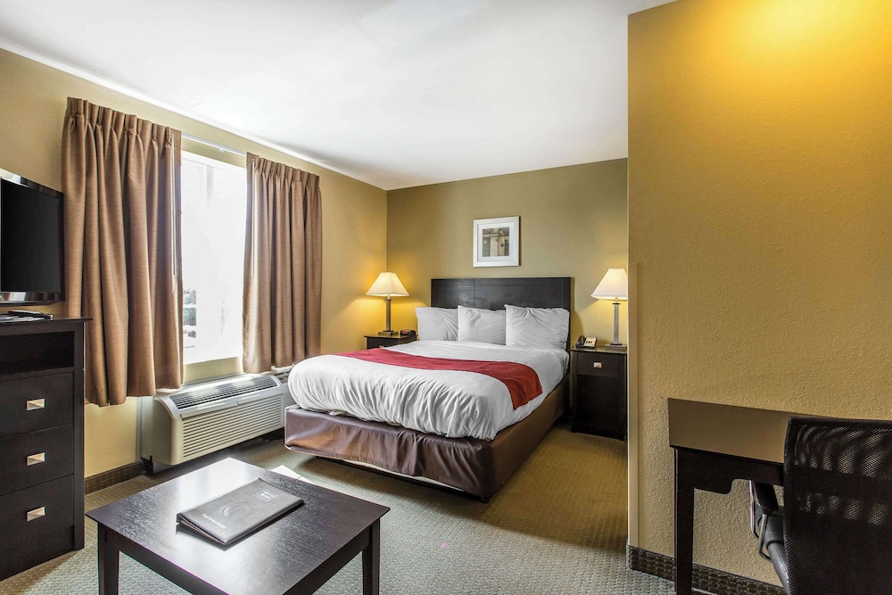 Basic Suite, 1 Queen Bed
