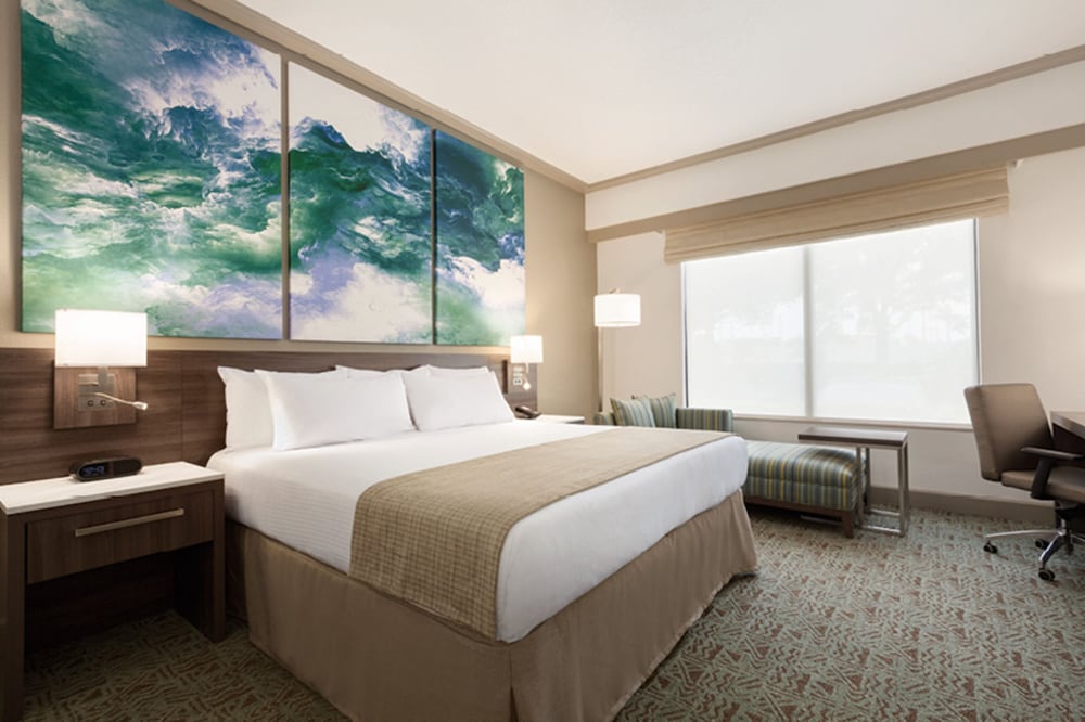 Room, 1 King Bed, Accessible (King Accessible Suite)