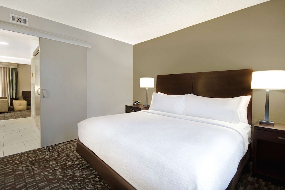 Room, 1 King Bed, Accessible, Bathtub (Mobility & Hearing) - Photo 1