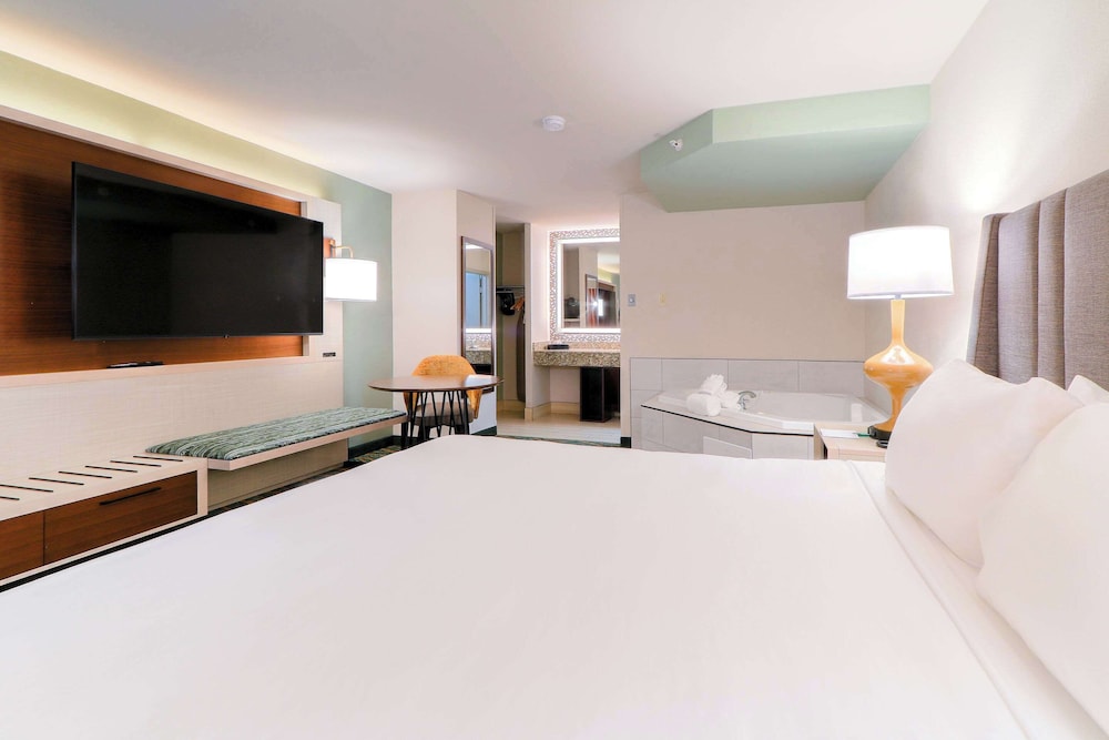 Suite, 1 King Bed, Non Smoking, Jetted Tub - Photo 4