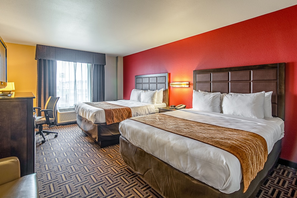 Deluxe Studio Suite, Multiple Beds