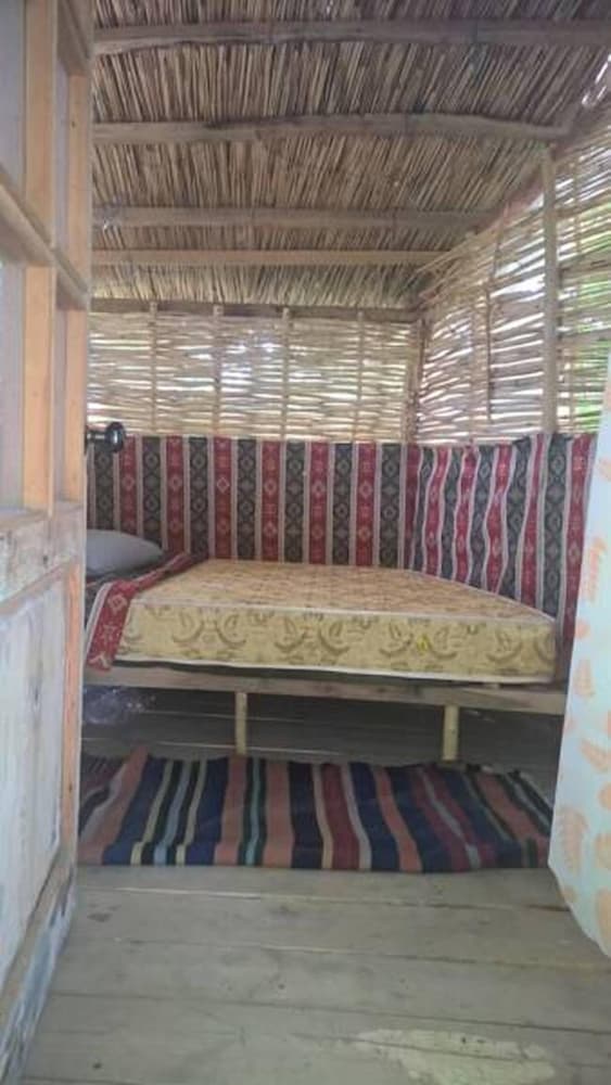 Exclusive Tree House photo 3