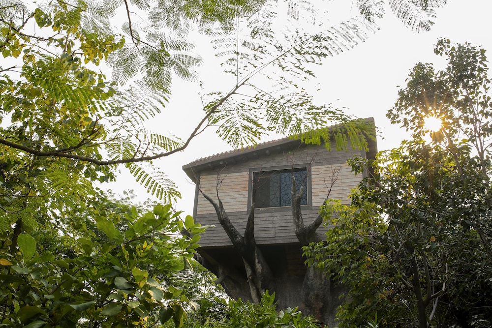 Luxury Tree House photo 2