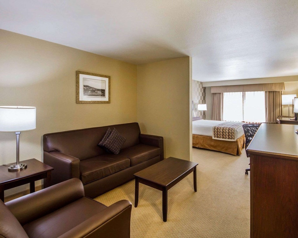 Suite, 1 King Bed with Sofabed, Accessible, Non Smoking - Photo 3