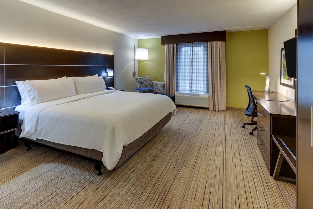Room, 1 King Bed, Accessible (Communications, Mobil, Roll In Shower) photo 1