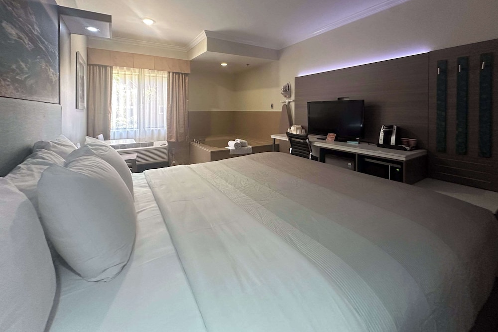 Deluxe Room, 1 King Bed, In-Room Jetted Tub, Non Smoking - Photo 5