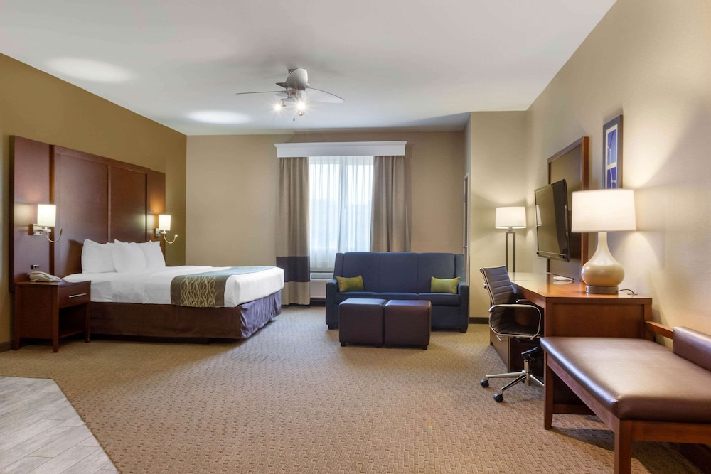 Suite, 1 King Bed with Sofa bed, Non Smoking