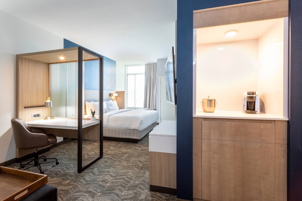 Suite, 1 King Bed - Photo 1