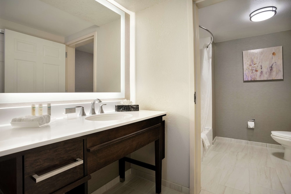 Suite, 1 Bedroom - Photo 6