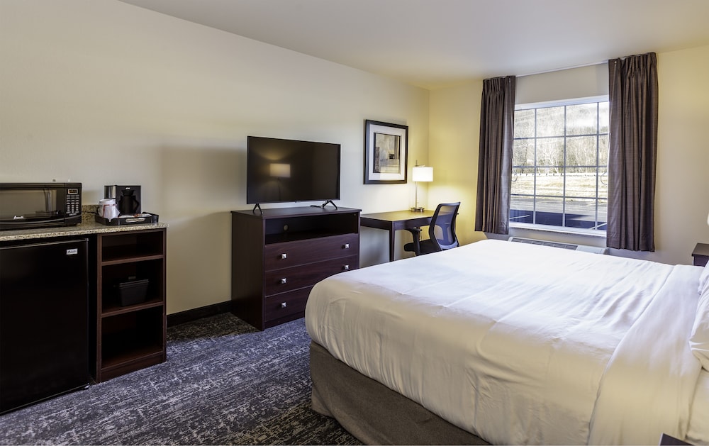 Room, 1 King Bed, Accessible, Non Smoking - Photo 4