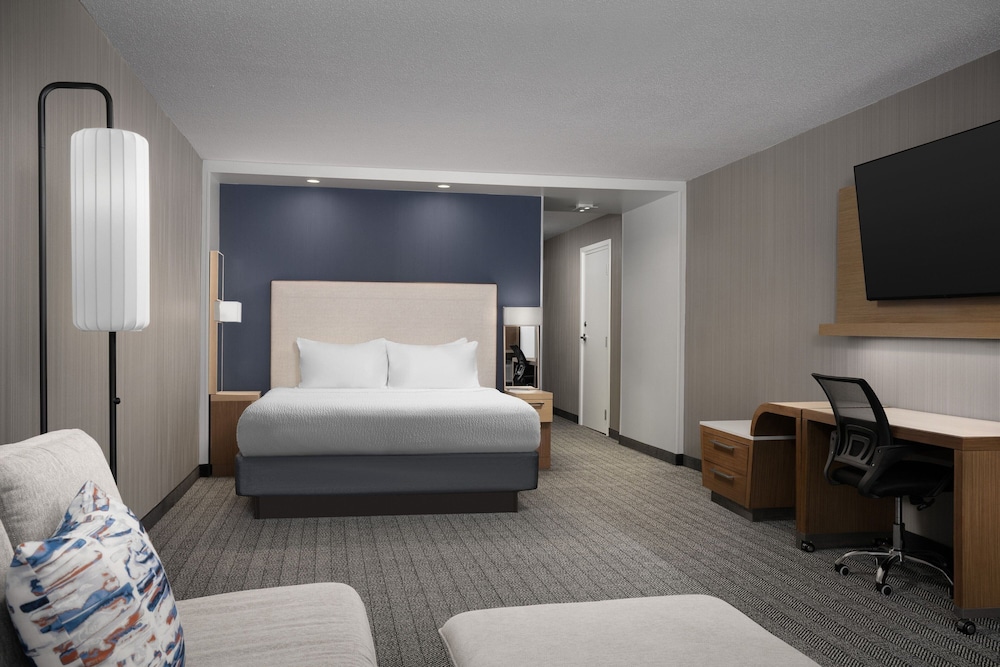 Room, 1 King Bed with Sofa bed