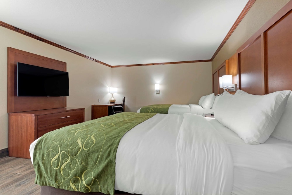 Comfort Suites West Monroe near Ike Hamilton Expo Center, Bilde 6