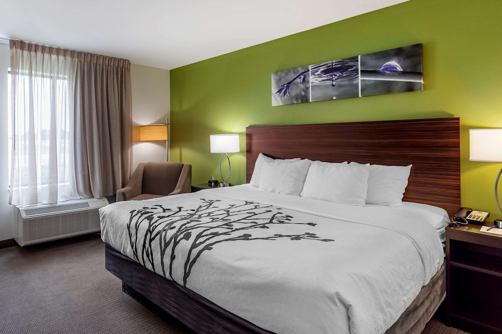 Standard Room, 1 King Bed, Non Smoking - Photo 1