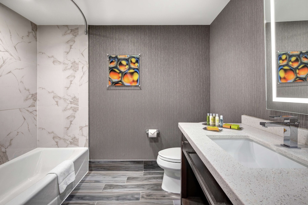 Room, 1 King Bed, Accessible, Bathtub