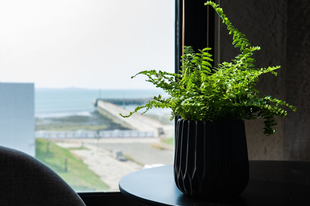 Comfort Double Room, Bathtub, Ocean View photo 3