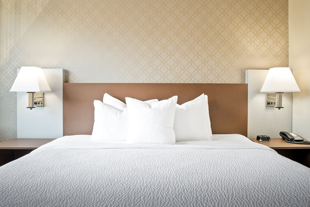 Superior Single Room, 1 King Bed with Sofa bed photo 3