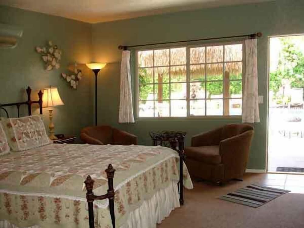 Poolside Studio, 1 Queen, Fireplace, Kitchenette photo 3