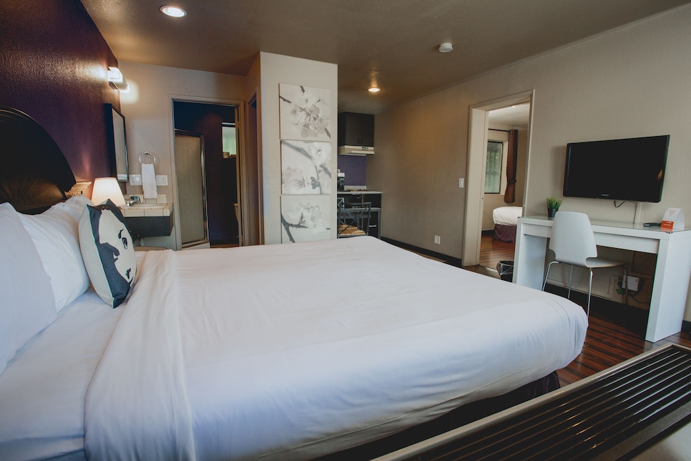 Suite, Multiple Beds photo 3
