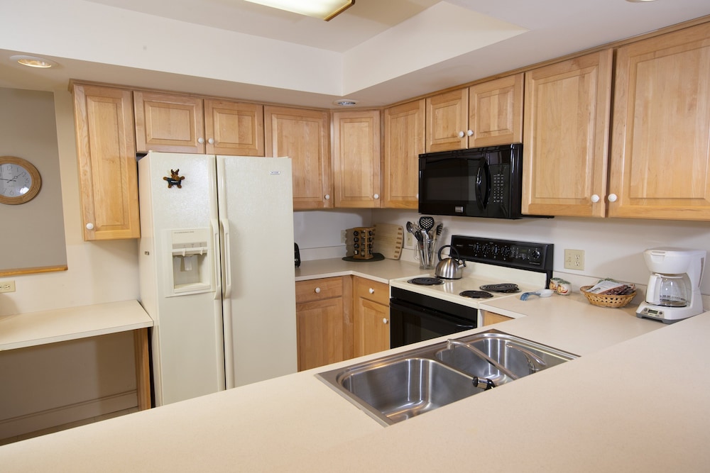 Solitude Village Three Bedroom Suite Ski In/Out photo 3