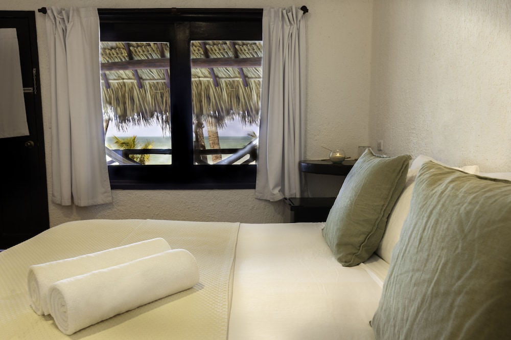 Classic Room, 1 King Bed photo 3