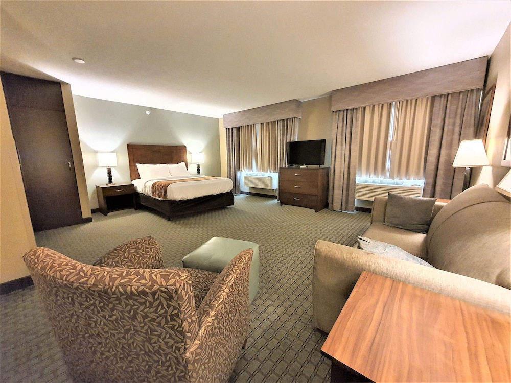 Elite Studio Suite photo 3