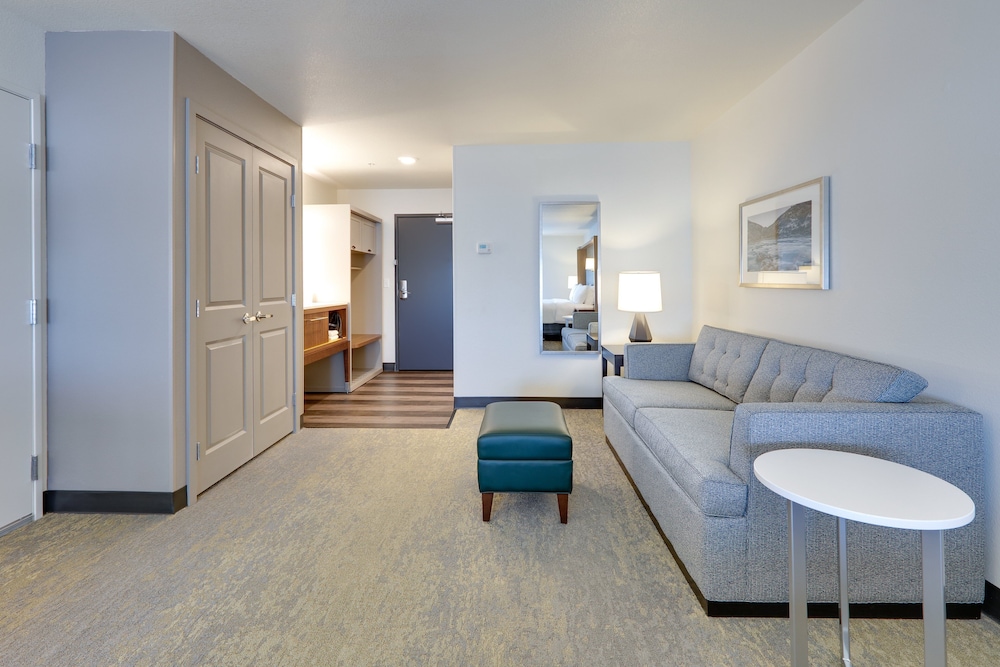 Suite, 1 King Bed with Sofa bed, Accessible (Communication)