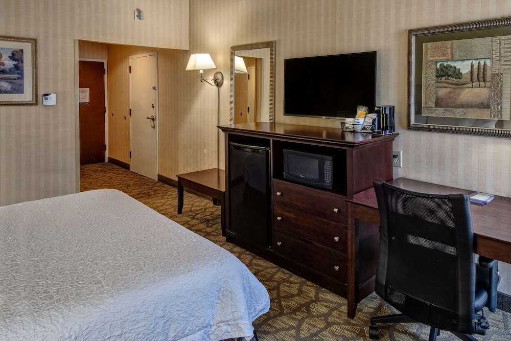 Room, 1 King Bed, Accessible, Non Smoking photo 2