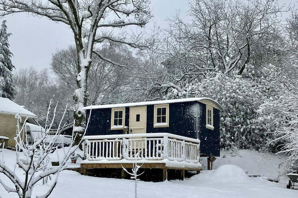 Cabin